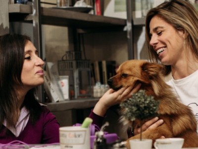 Italian Classes Online